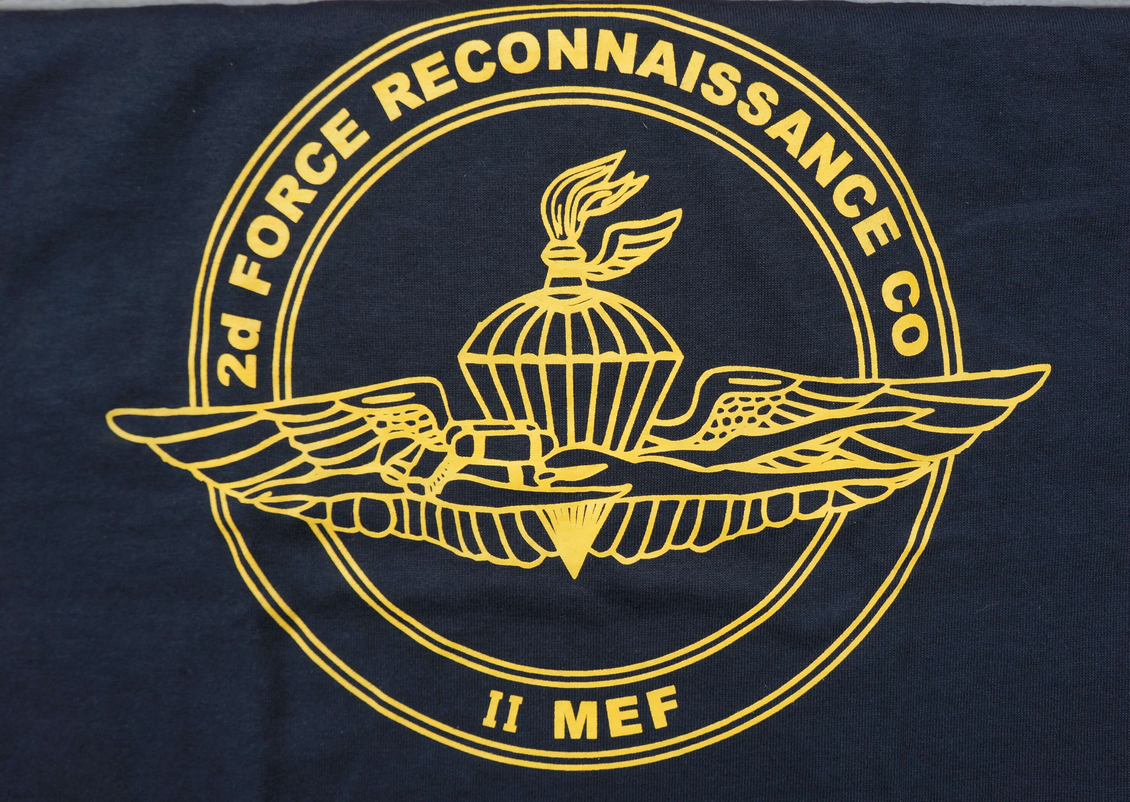 T-Shirt/ 2D Force Recon 2 MEF,  2 Sided Print