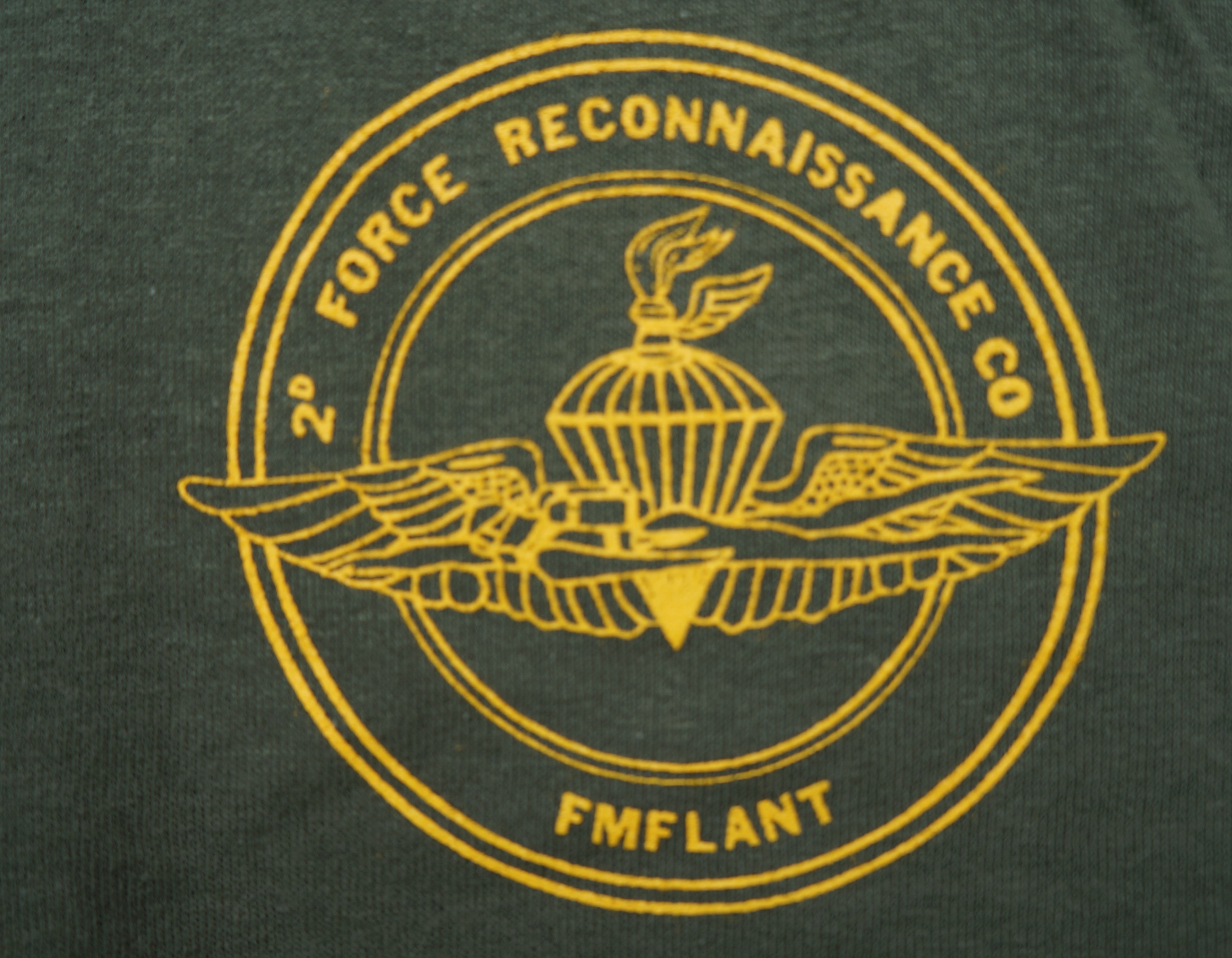 T-Shirt/ 2D Force Recon FMFLANT- 2 Sided Print