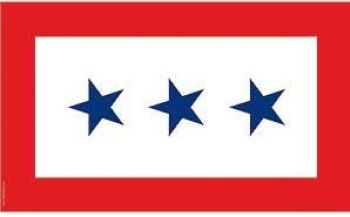 Flag/ Blue Star Three-3x5