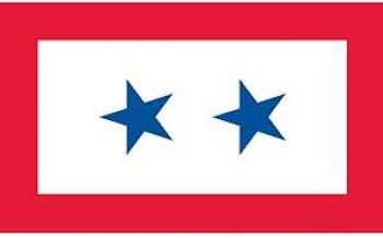 Flag/ Blue Star Two- 3x5