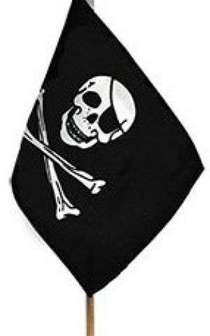 Flag Stick-Jolly Roger 4"x6"
