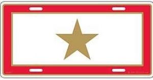 License Plate/Gold Star