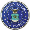 Decal-AIR FORCE LG