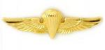 Breast Badge- Parachusist Wings